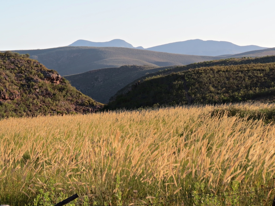 3 Bedroom Property for Sale in Joubertina Eastern Cape